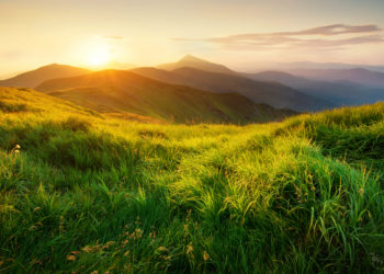 A beautiful story about nature with a moral to remember