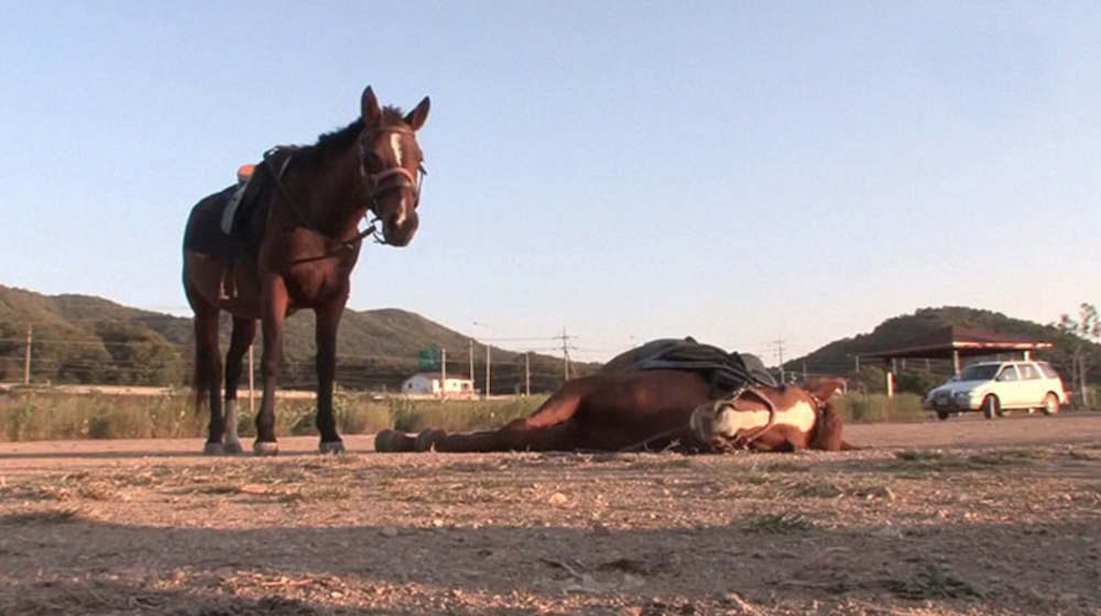 Facebook: Fransisco Zalasar