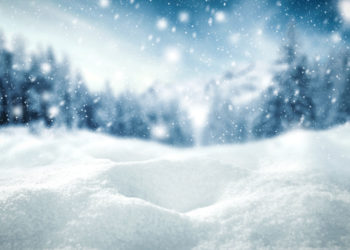 What is the anatomy of snow?